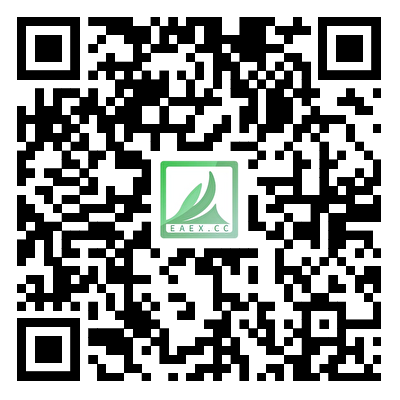 请先使用网页版